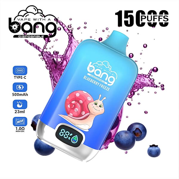 BANG15000 PUFFS DSK017